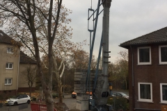IMG-20181120-WA0004